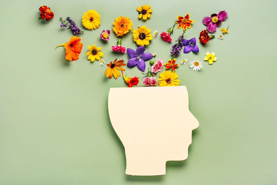 mental health resources